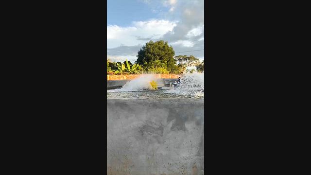Imagem Aerador de palhetas