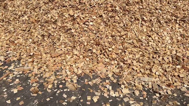Vídeo CAVACO DE EUCALIPTO