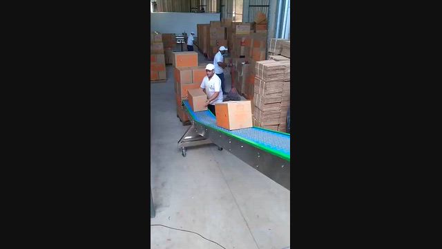 Imagem Esteira de Ovos