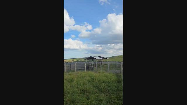 Imagem Fazenda Pecuária