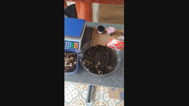 Vídeo Húmus de Minhoca Peletizado