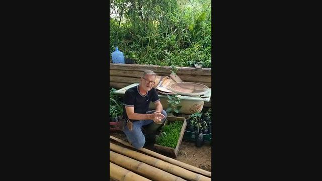 Vídeo Húmus de Minhoca Peletizado
