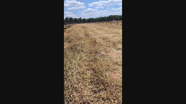 Imagem Locação de Trator Giro Zero para Roçagem de Terrenos