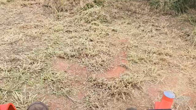 Imagem Locação de Trator Giro Zero para Roçagem de Terrenos