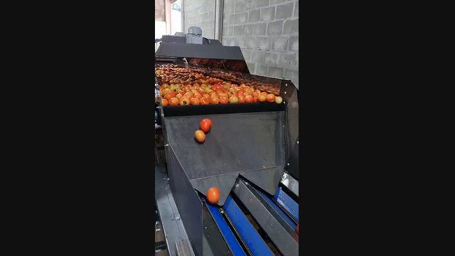 Imagem Máquina beneficiadora de tomates