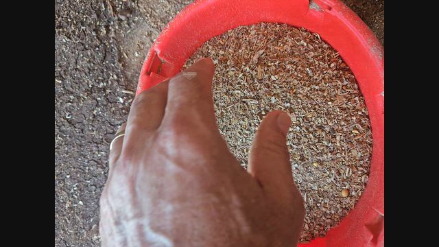 Imagem Misturao Residuo Soja milho trigo