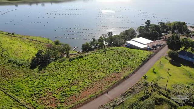 Imagem Piscicultura de Tilápia Ativa no PR - 150 Ton/Mês (Capacidade 300 Ton/Mês) - Certificação Halal A -