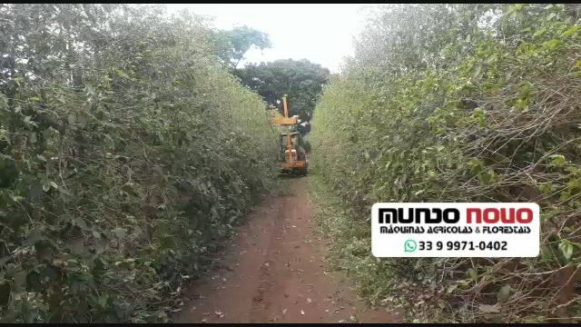 Imagem Podadora dianteira de café e citrus