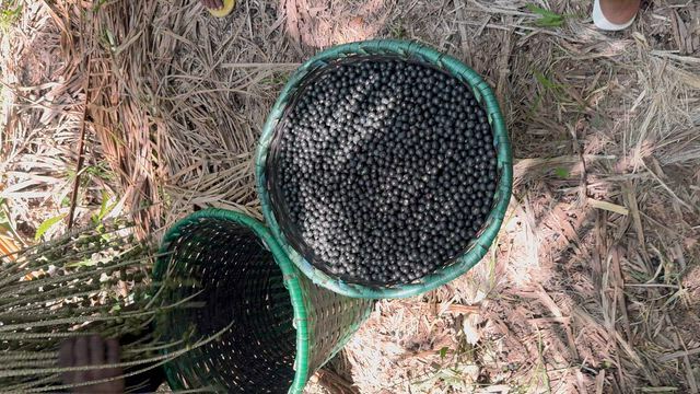 Imagem Açaí barra 1 kg