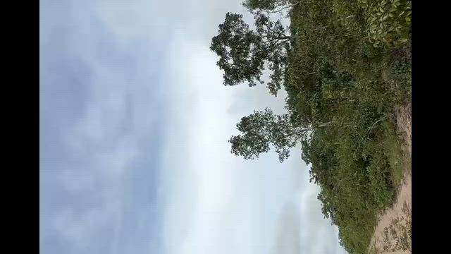 Imagem Área Rural à Venda em Mato Grosso | Ideal para Compensação Ambiental e Investimento