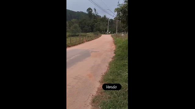 Imagem Cavalo + Charrete