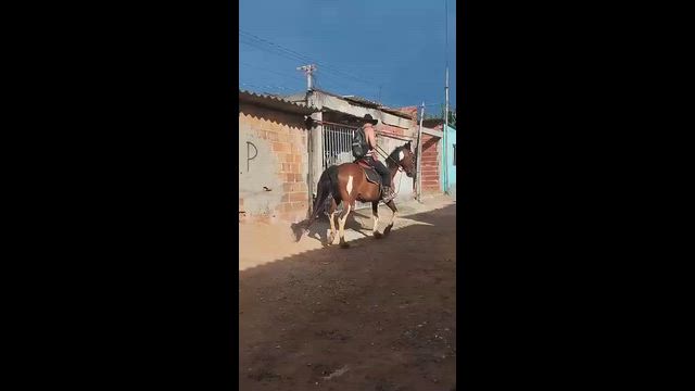 Imagem Cavalo + Charrete