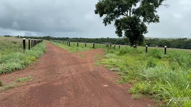 Imagem Fazenda 128 Hectares à Venda em Campinápolis