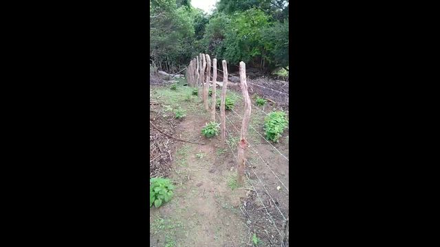 Imagem Fazenda Belmonte - Sobral - Ceara