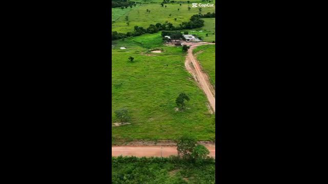 Imagem Fazenda para Pecuária em Nova Xavantina - MT