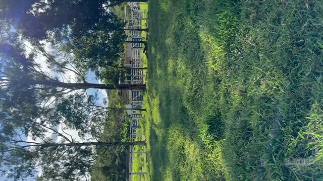 Imagem Fazenda para Pecuária em Vila Propício - GO
