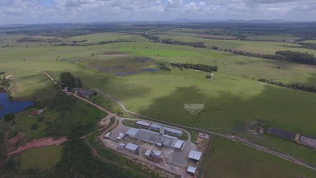 Imagem Frigorífico de Aves em Prado BA