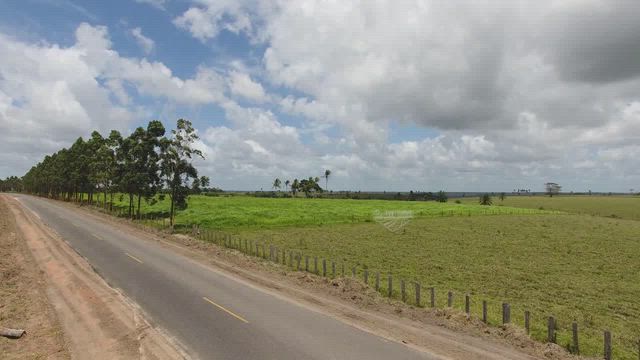 Imagem Frigorífico de Aves em Prado BA