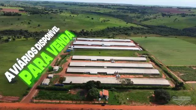 Imagem Granja de Aves a venda no MS