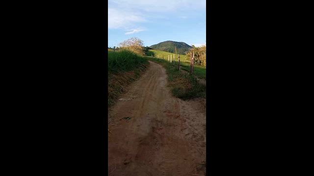 Imagem Mula novinha, recém amansada .