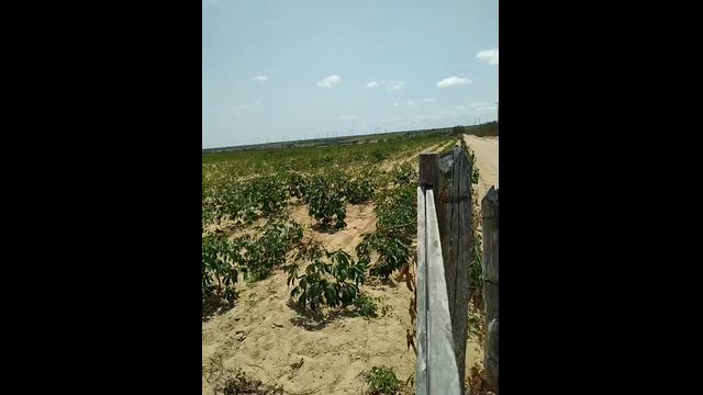 Imagem Terreno em Lagoa Nova – RN