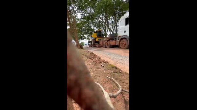 Imagem PRANCHA PESCOÇO REMOVIVEL