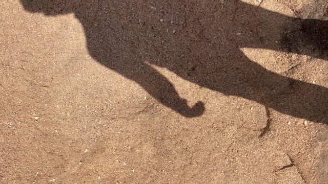 Imagem Serragem seca