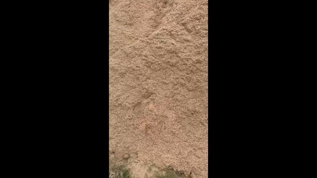 Imagem Serragem Seca e Maravalha