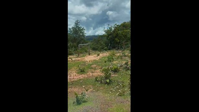 Imagem Terra a venda com 507 hectares ao sul do Piauí