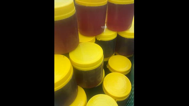 Imagem Vendo mel de florada Eucalipto