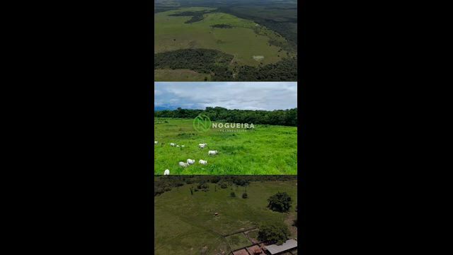 Imagem FAZENDA À VENDA - GAÚCHA DO NORTE/MT