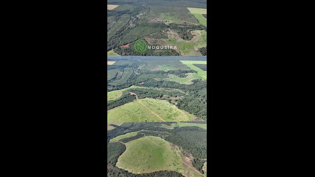 Imagem FAZENDA A VENDA - VILA DO CULUENE