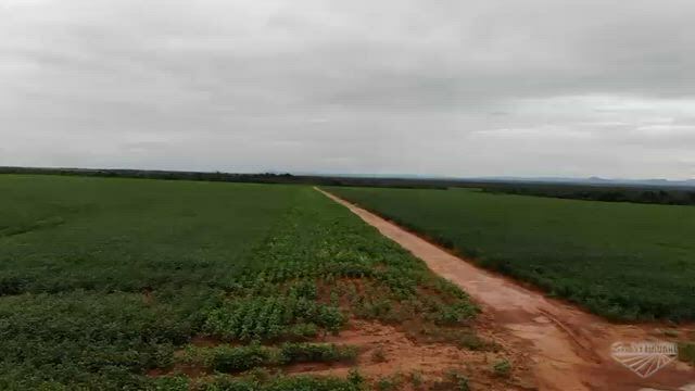 Imagem Fazenda para Agricultura com 735 Ha em Niquelândia - GO