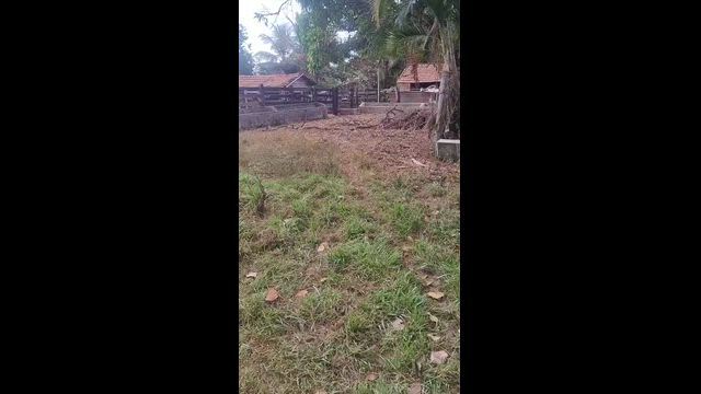 Imagem Fazenda para Pecuária com 96,8 Ha em Dois Irmãos - TO