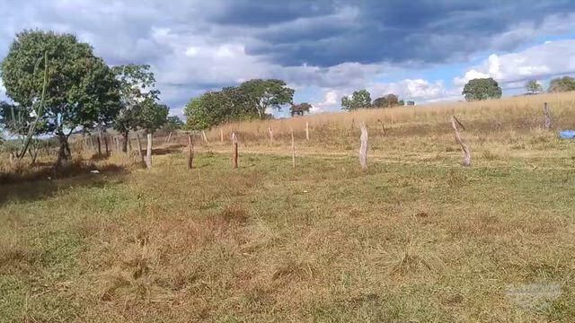Imagem Fazenda para Pecuária com 96,8 Ha em Dois Irmãos - TO