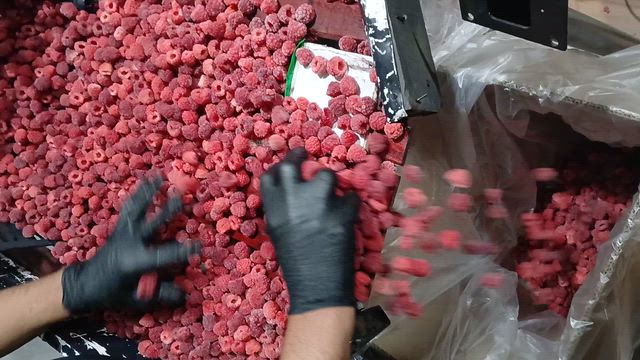 Imagem Framboesa congelada