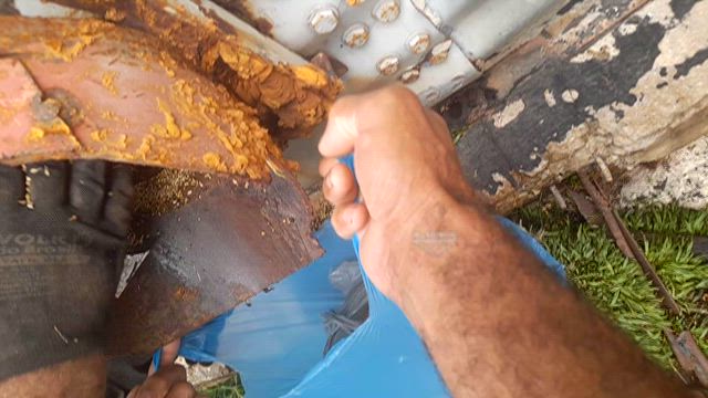 Imagem Milheto a venda