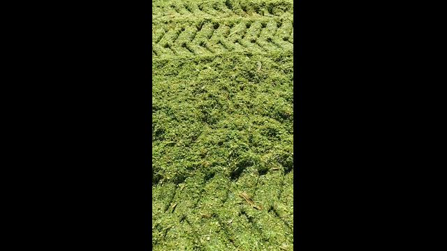 Imagem Silagem de Milho Ensacada de Alta Qualidade