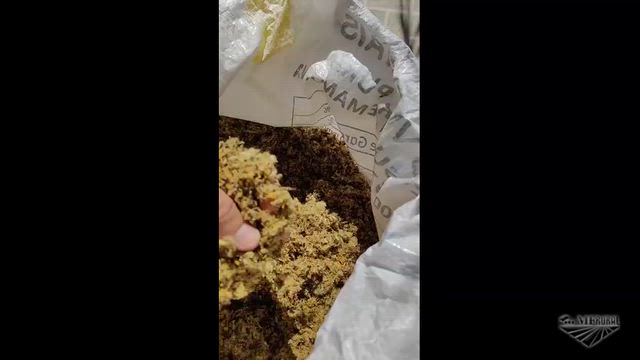 Imagem Torta de Algodão | Nutrição Animal e Confinamento