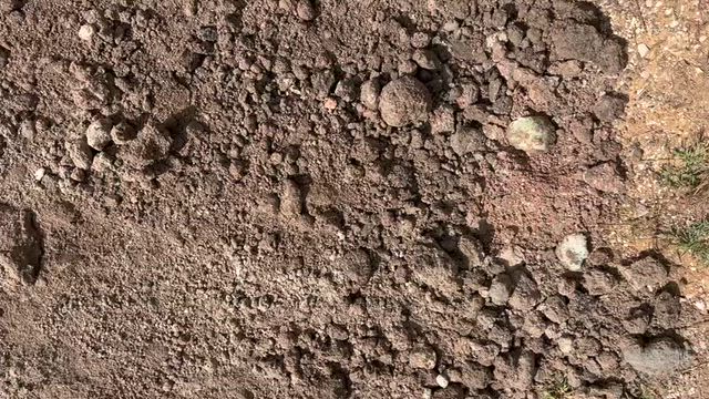 Imagem VARREDURA NPK