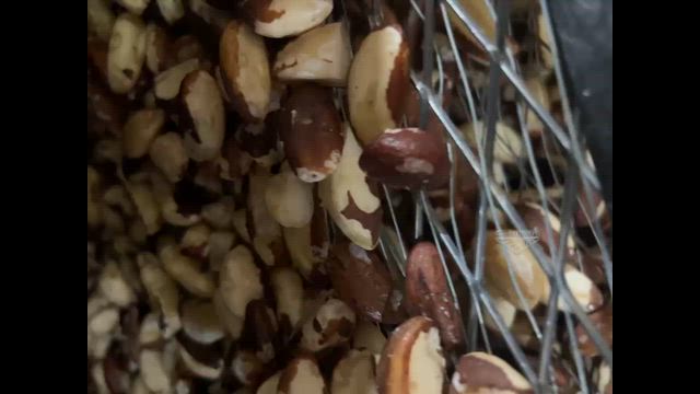 Imagem Castanha do Pará