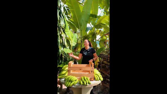 Imagem Cintas para Caixas de Madeira