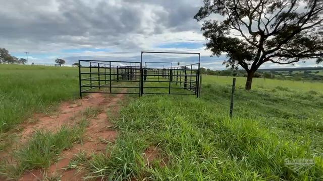 Imagem Curral Metálico Completo - 18m x 10m com Seringa e Embarcador