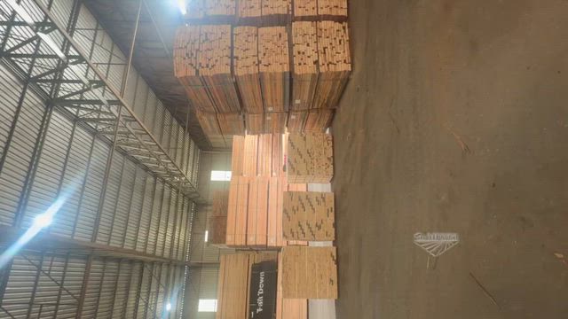 Imagem EUCALIPTO SECO