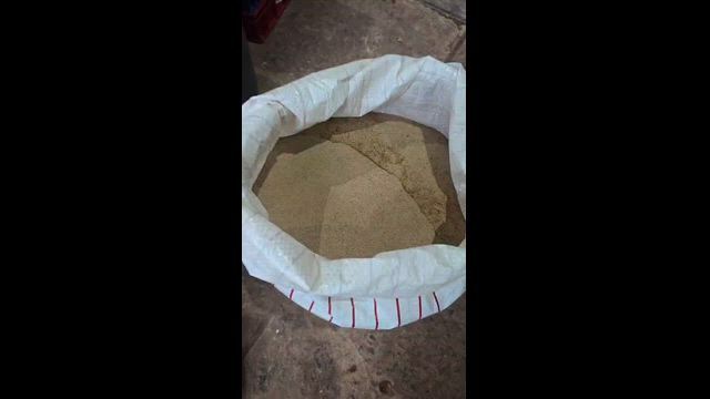 Imagem Frass ou Esterco de Inseto Tenénbrio Molitor e Tenébrio Gigante