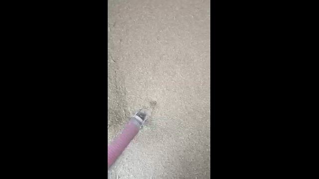 Imagem Transportadora flexível