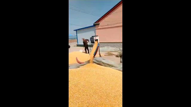 Imagem Transportadora flexível