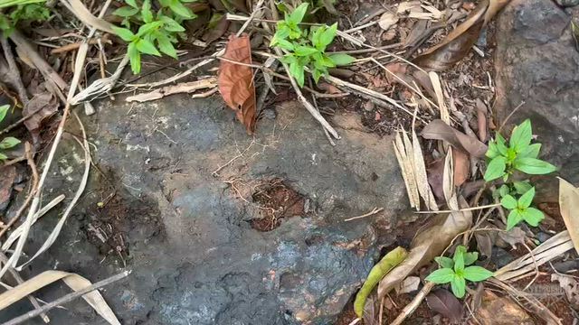 Imagem Venda de Minério Manganes