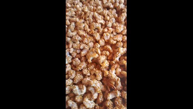 Imagem CASTANHA DE CAJU CARAMELIZADAS EM VÁRIOS SABORES.