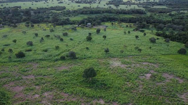 Imagem Fazenda 38 ha - Agua Boa